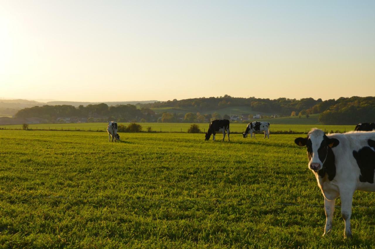 Gite Brin De Campagne Vaucremont Zewnętrze zdjęcie
